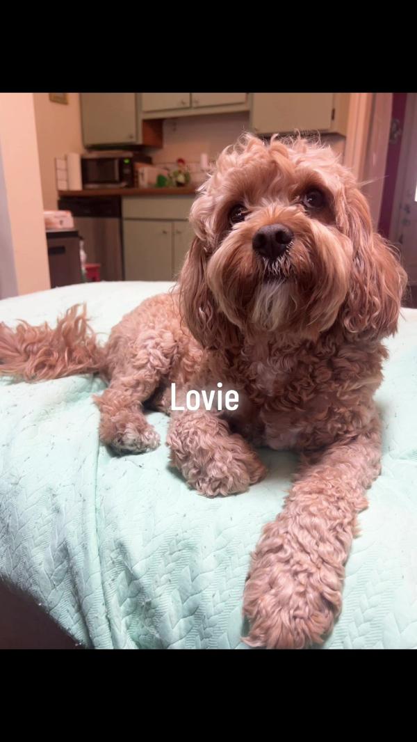 Post by sandithecreator