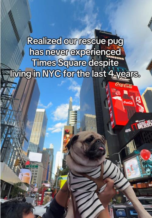 Post by nicolettemason