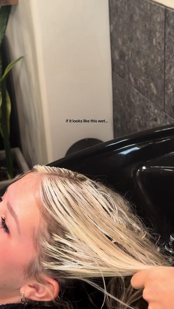 Post by emilygardine