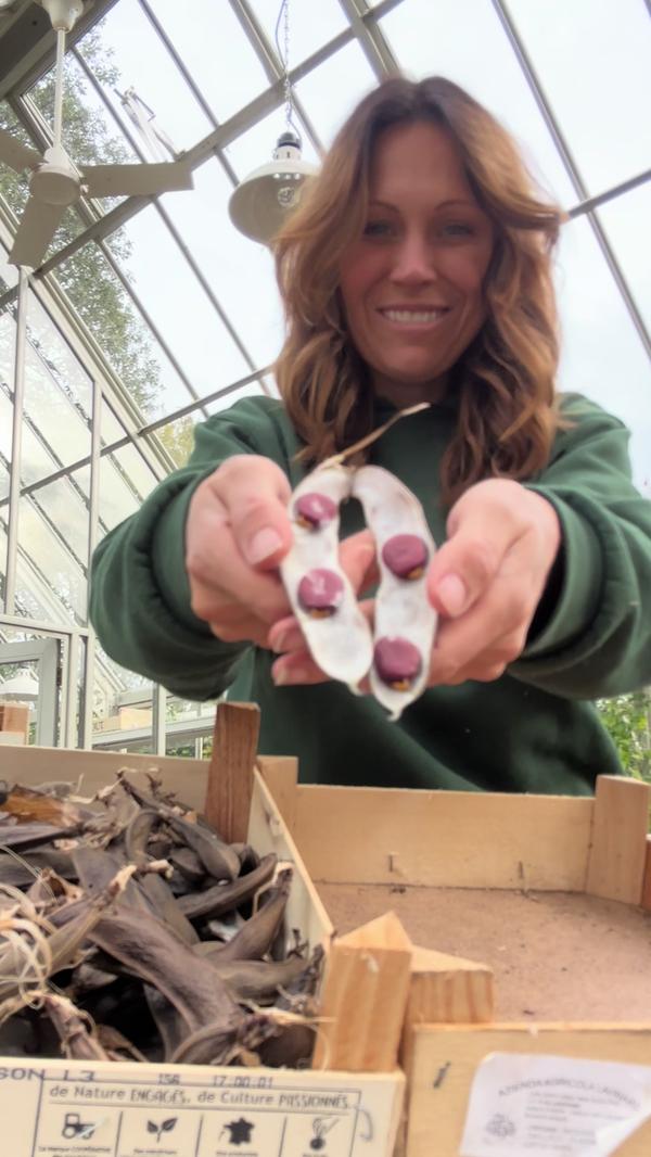 Post by augusts_garden