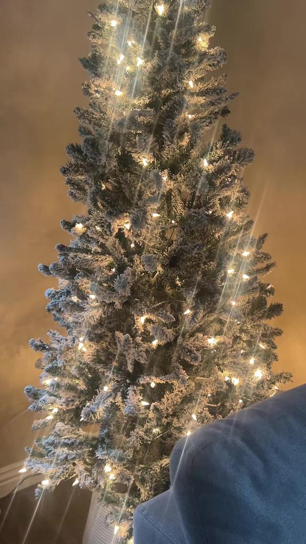 Post by cheyenne.chavez