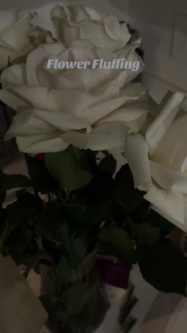 Post by fatimasflair