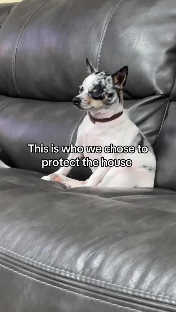 Post by cassidywhite94