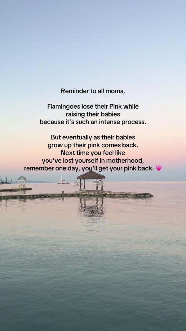 Post by kyraljohnson