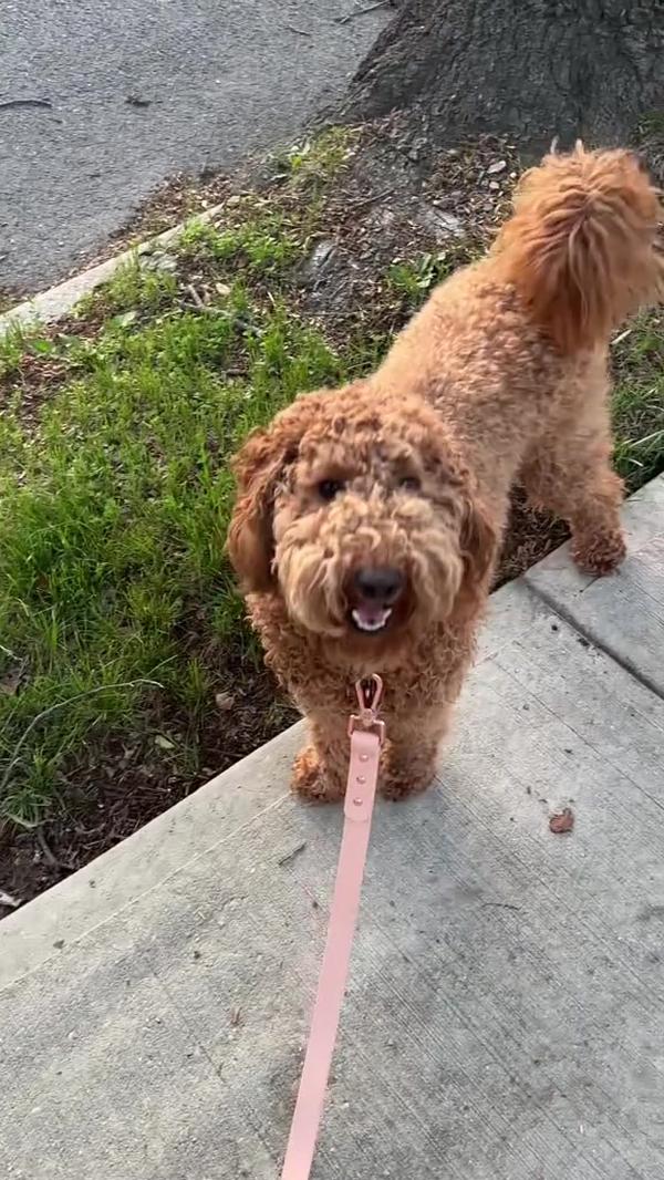 Post by alrightokfine