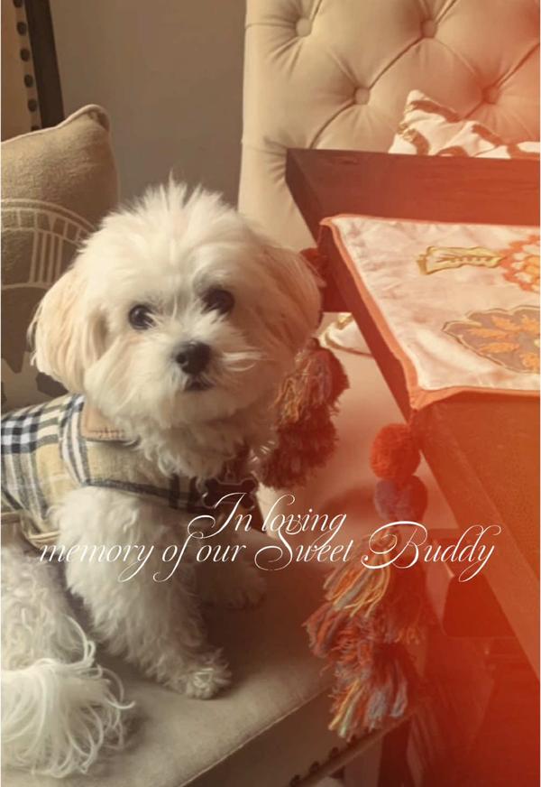 Post by beautybynataliec2014