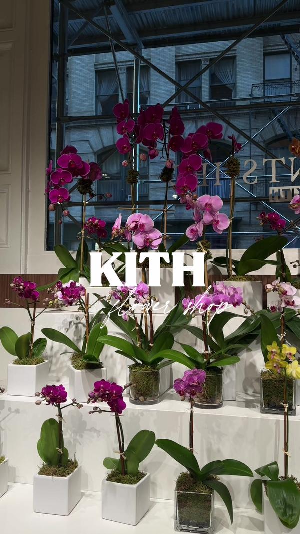 Post by kym.nokardash