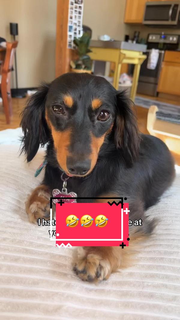 Post by mammamiadoxie1