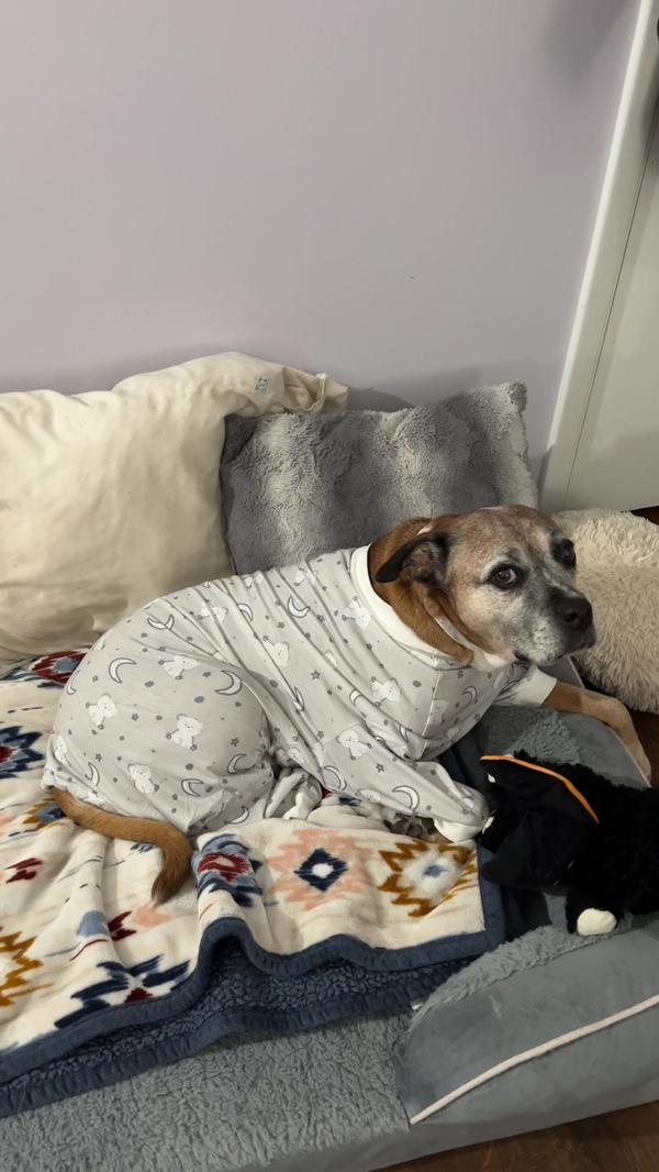 Post by justtravelynn