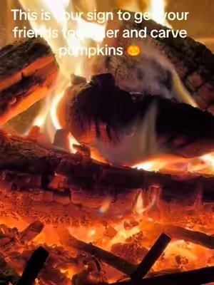 Post by reneeraymond2