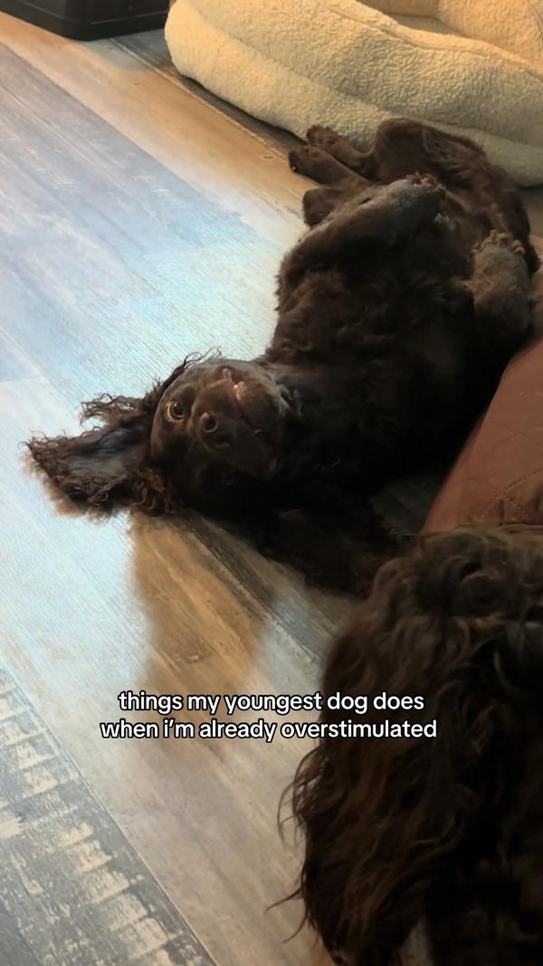 Post by annmariesmith_