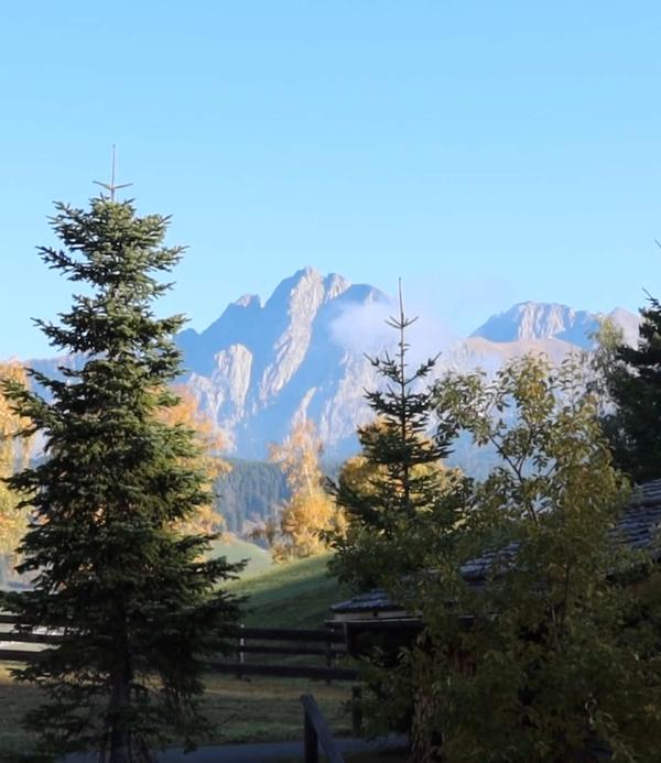 Post by sophia.penrose