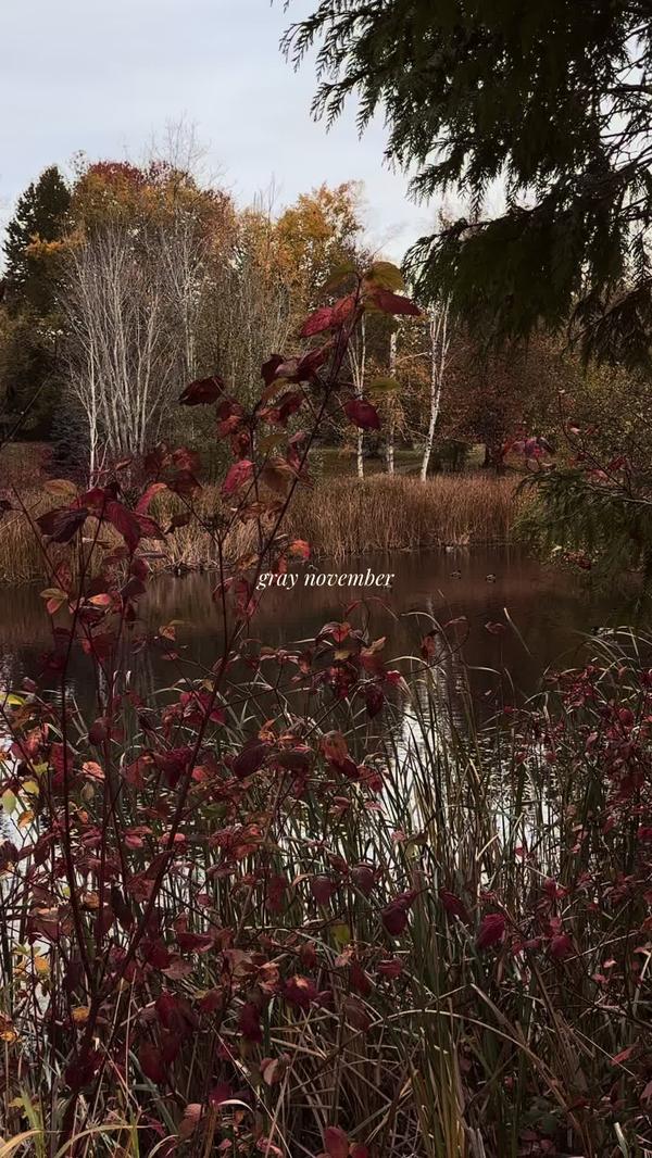 Post by sophialovesadonis