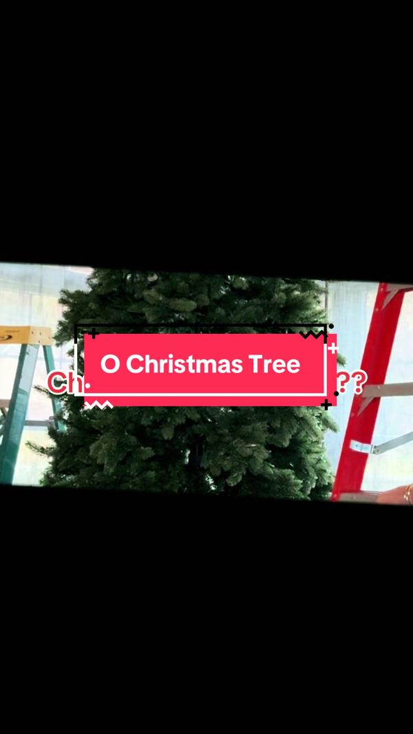 Post by stacyvarney2