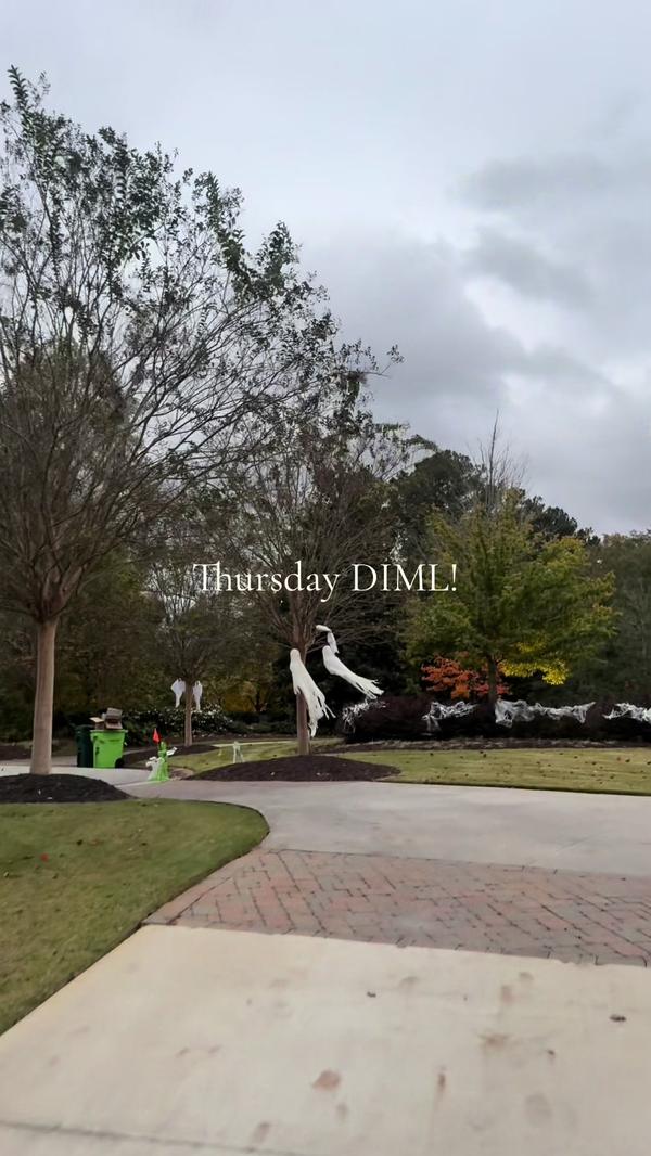 Post by sarah_hamaker