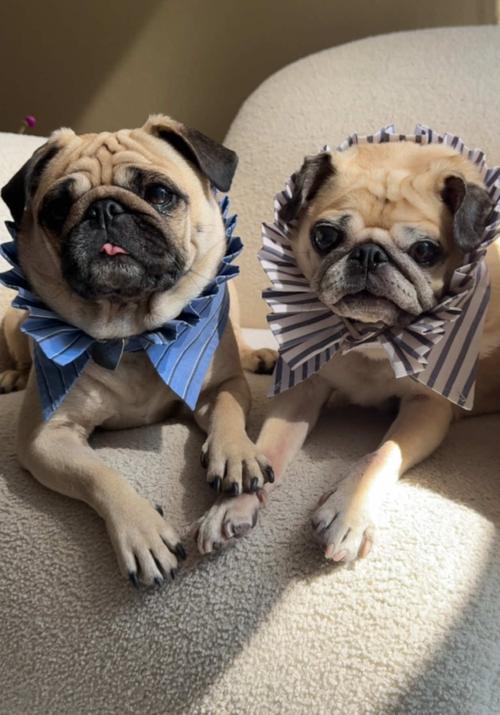 Post by nicolettemason