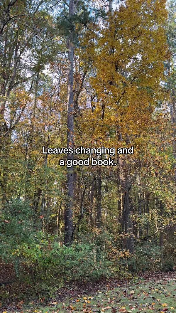 Post by helengbailey