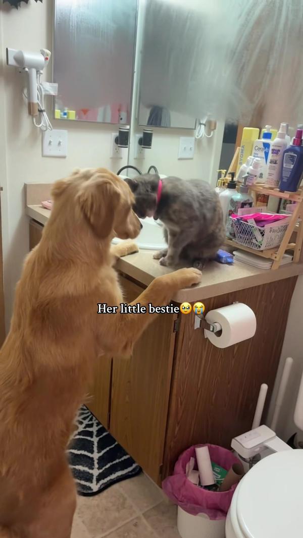 Post by kayleemakenz