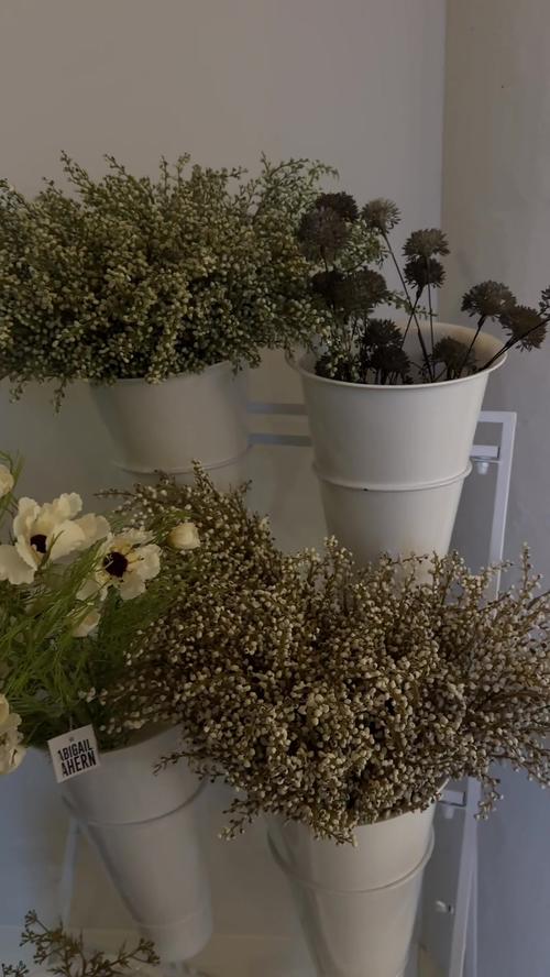 Post by jesskleinstudio