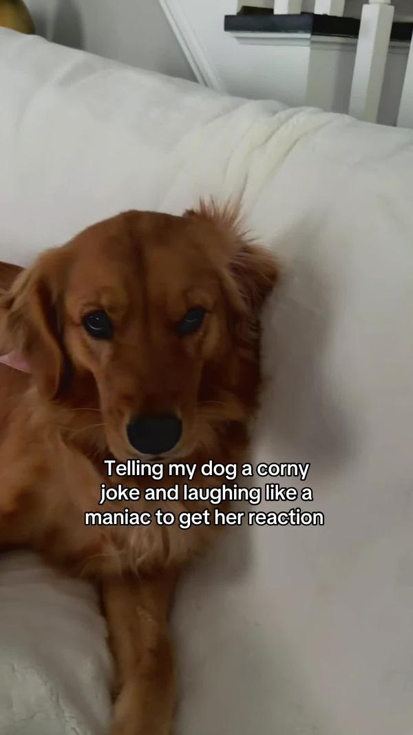 Post by luxedailyfinds