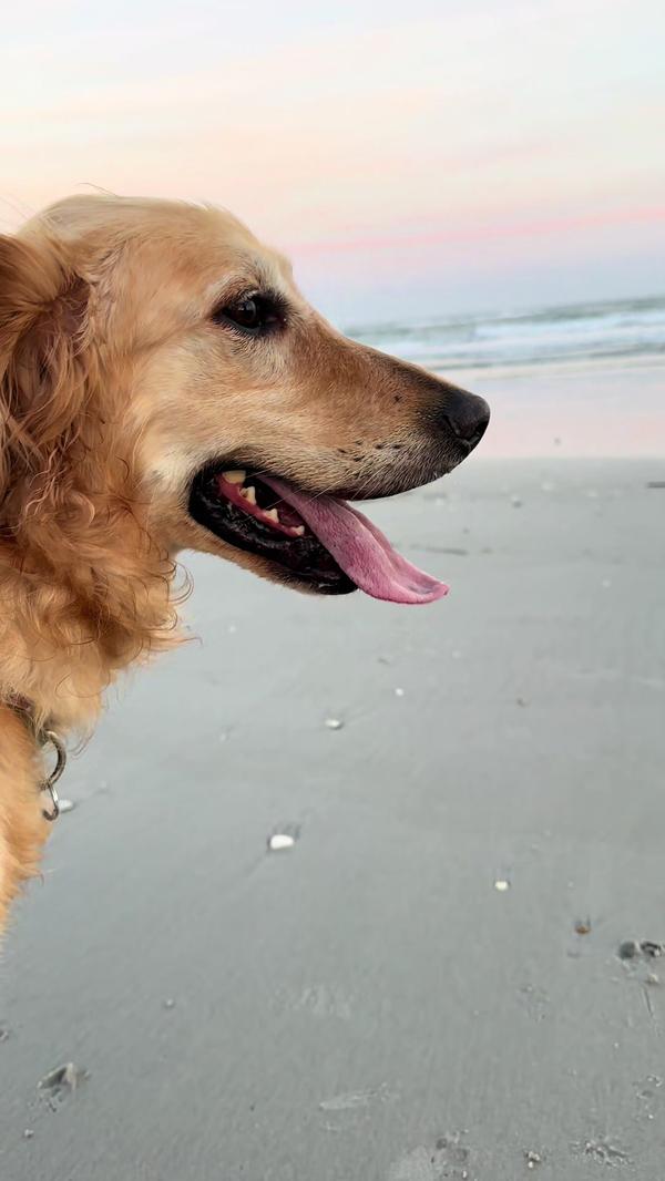 Post by jenningsboukather