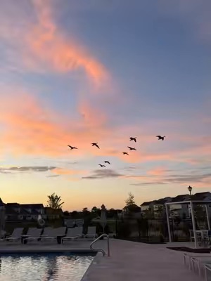 Post by gladwematched