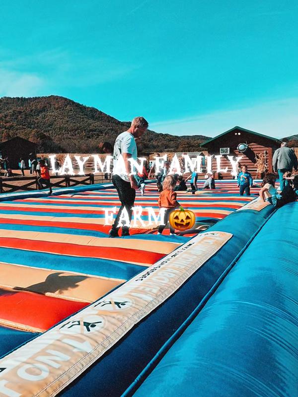 Post by korabugsmama