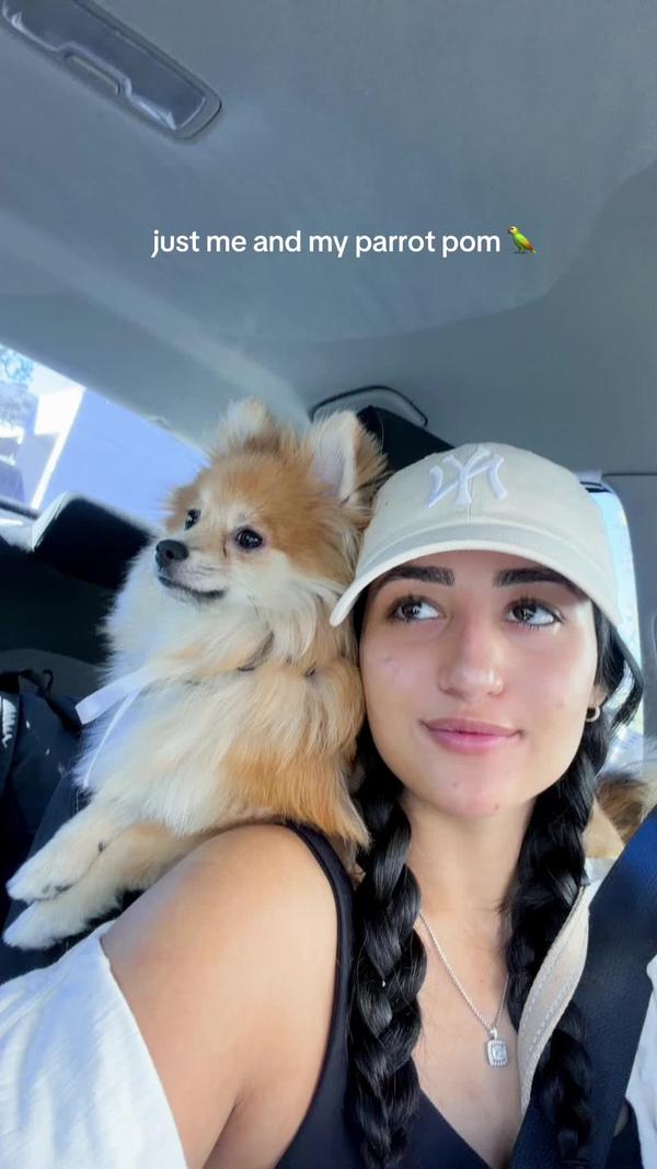 Post by sophiemalinosky_