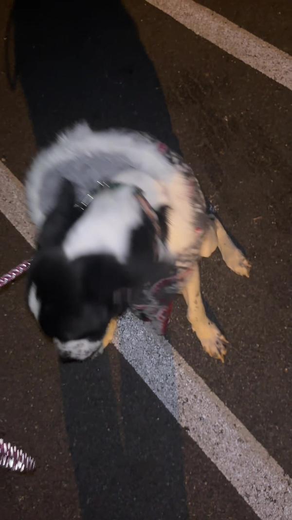 Post by taylorkelly28