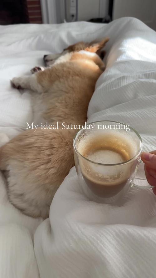 Post by jesskleinstudio