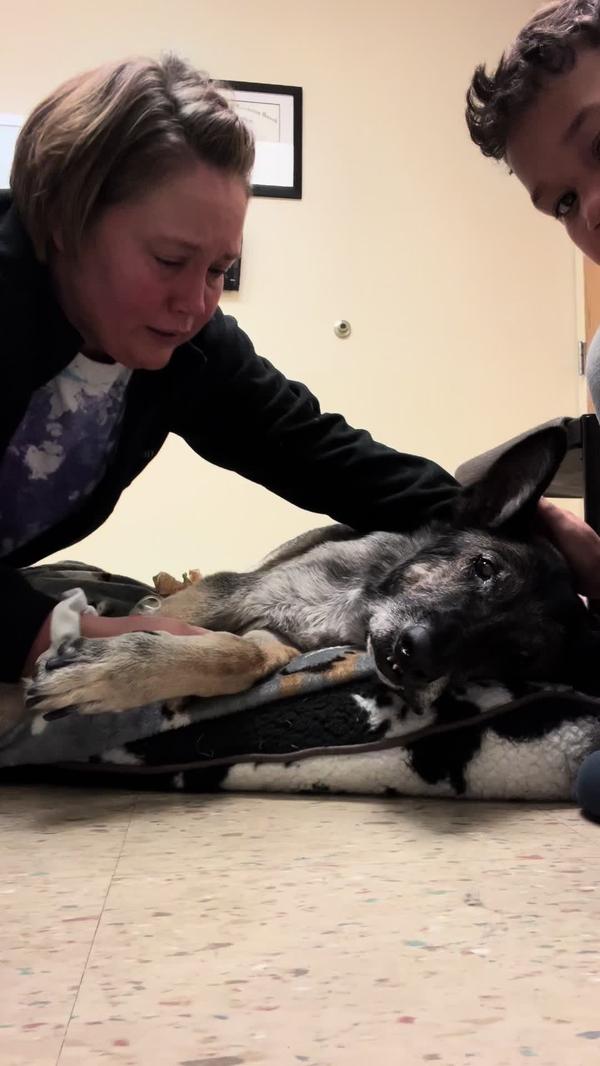 Post by ashleys_urban_homestead