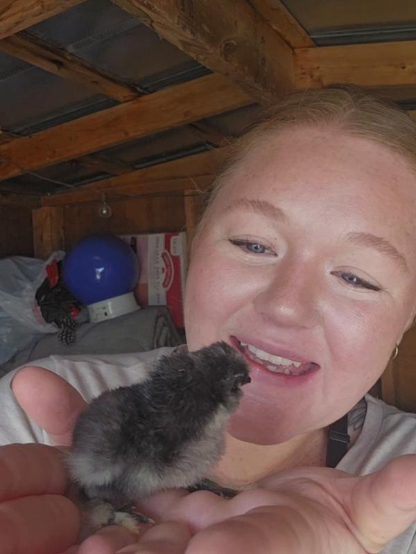 Post by molly_thatmom