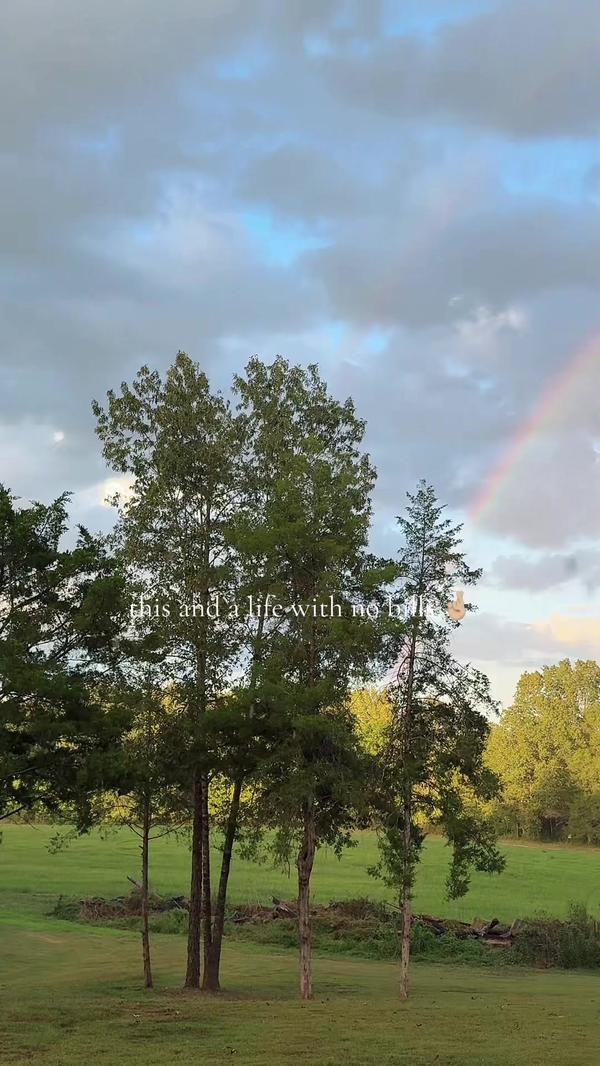 Post by brownchknbrowncow