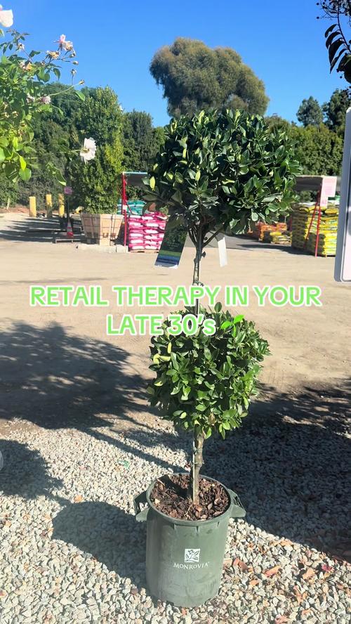 Post by bought.obsessed