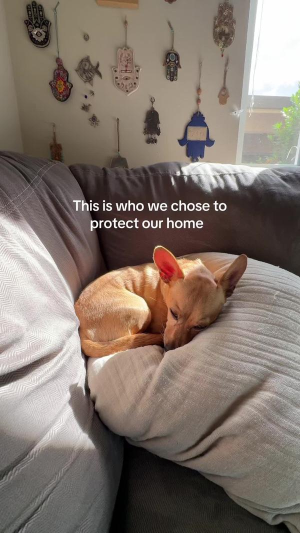 Post by juliepostsalot