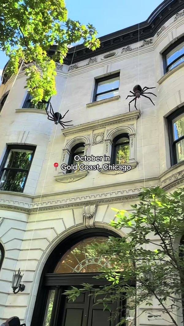 Post by monika_dixon