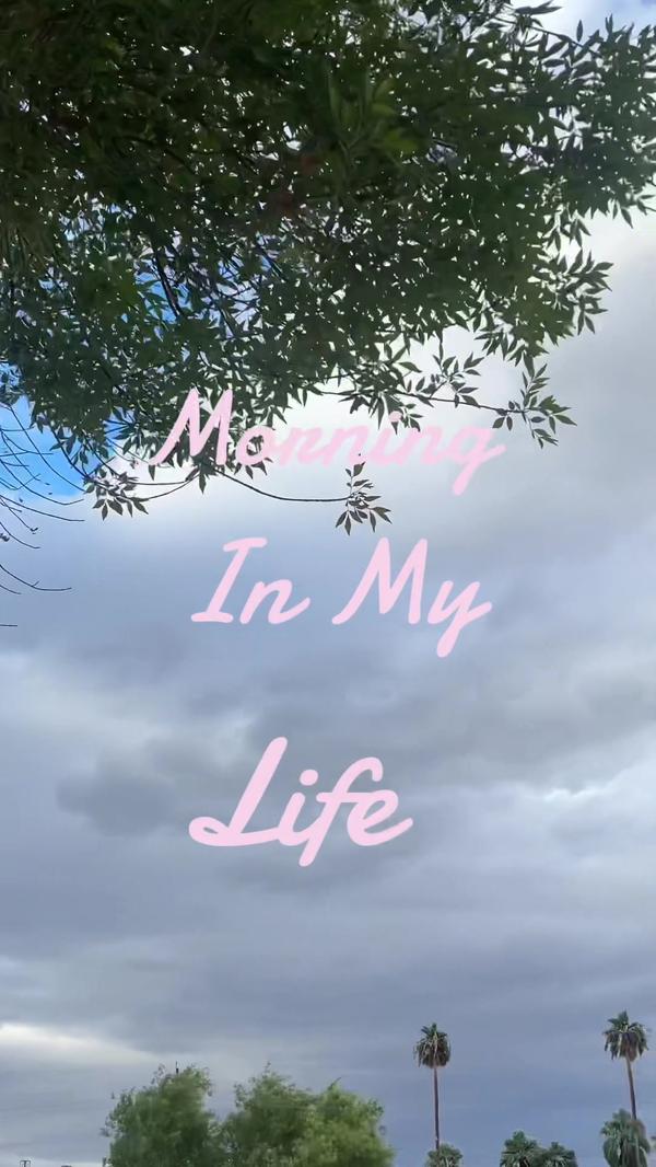 Post by user186020727