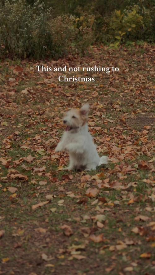 Post by literarywindwhispers