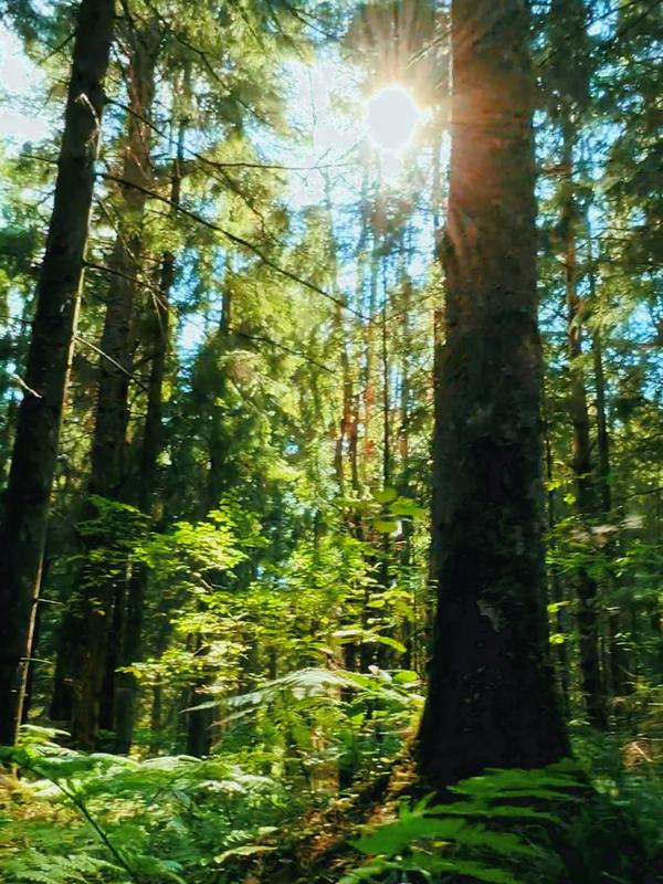 Post by justbugginout