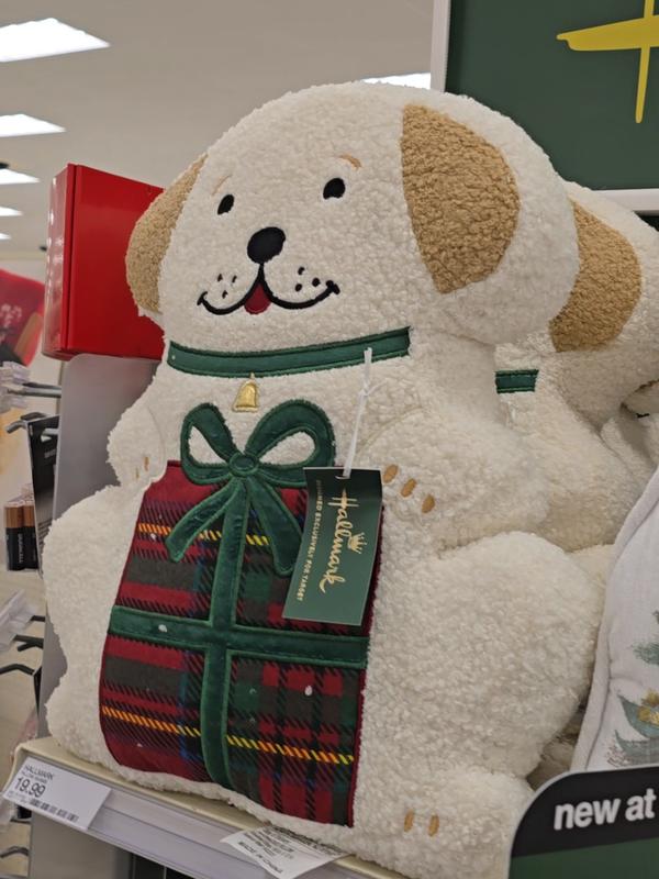 Post by ashleymarielantz