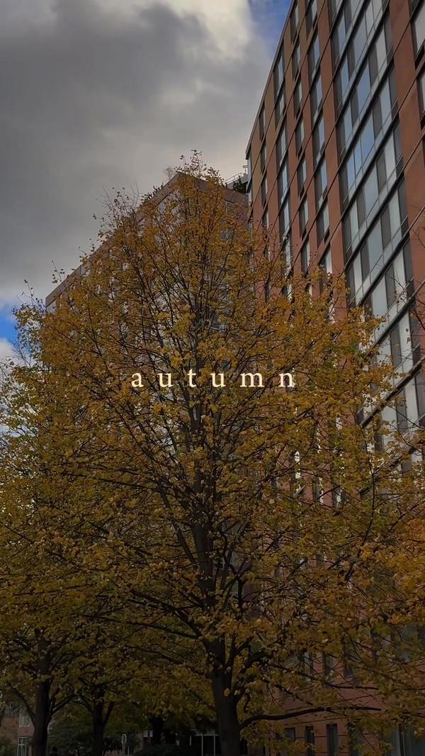 Post by universeofamna