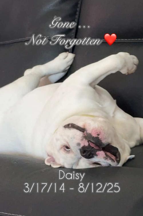 Post by activecleangreen