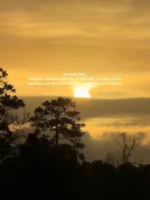 Content by erikuhflawrez_