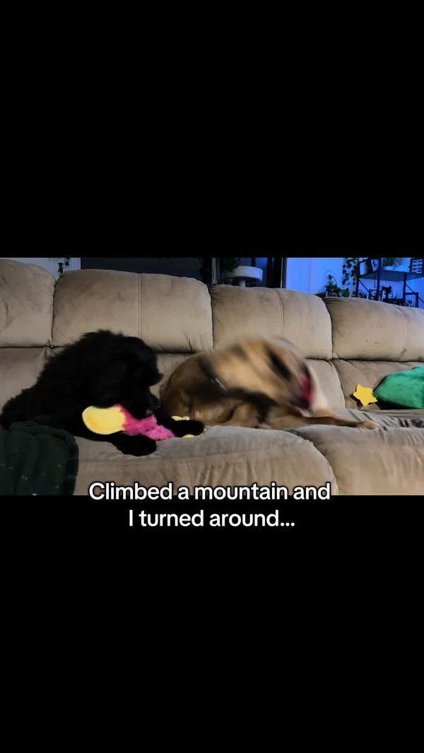 Post by kayleemakenz