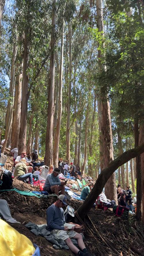 Post by ashleyjordangordon