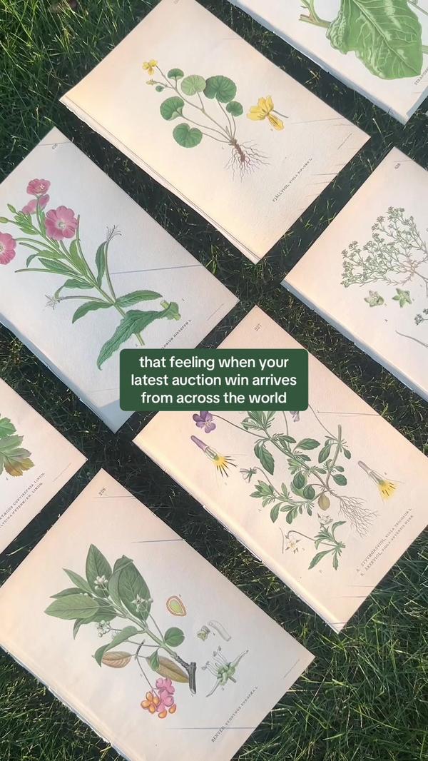 Post by cotesworthcollection