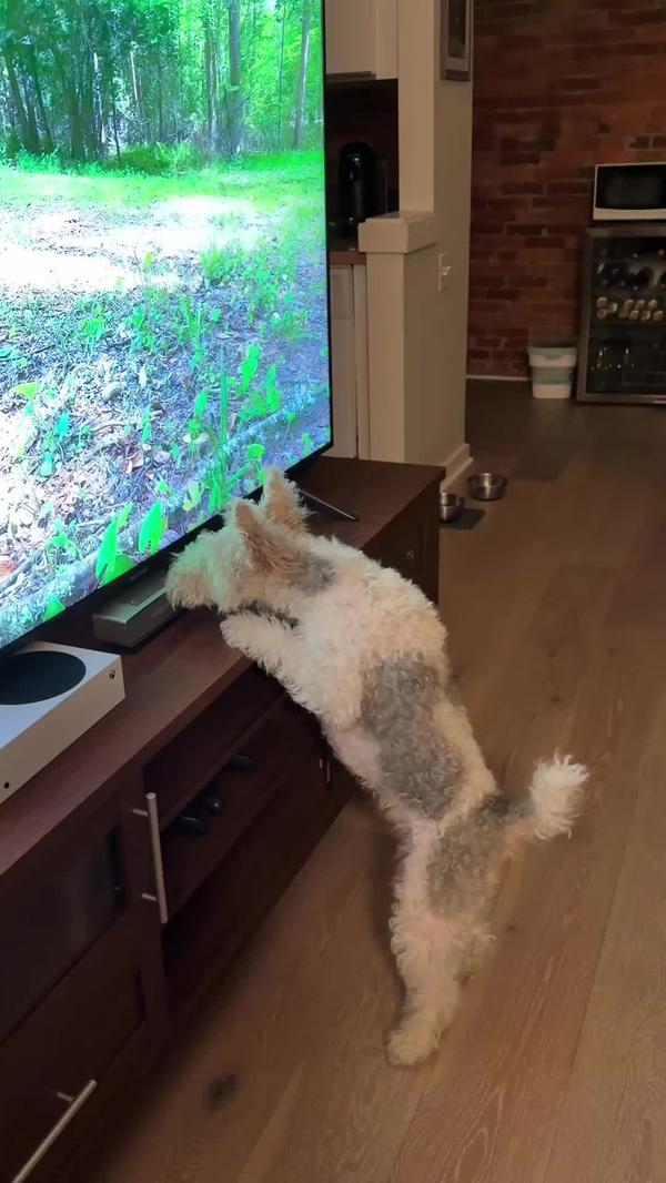 Post by drfettuccine123