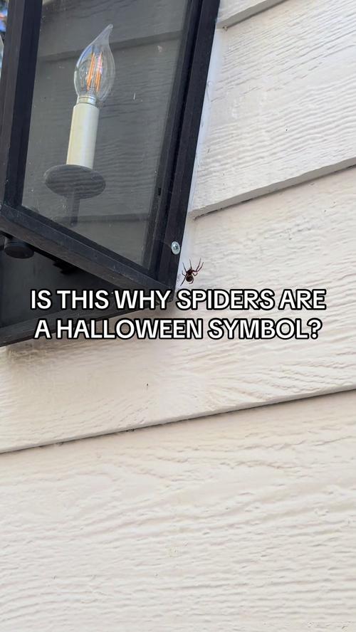 Post by bought.obsessed