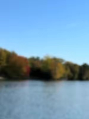 Post by reneeraymond2