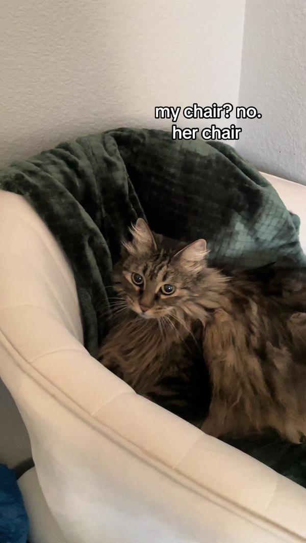 Post by corinne.novatzyk